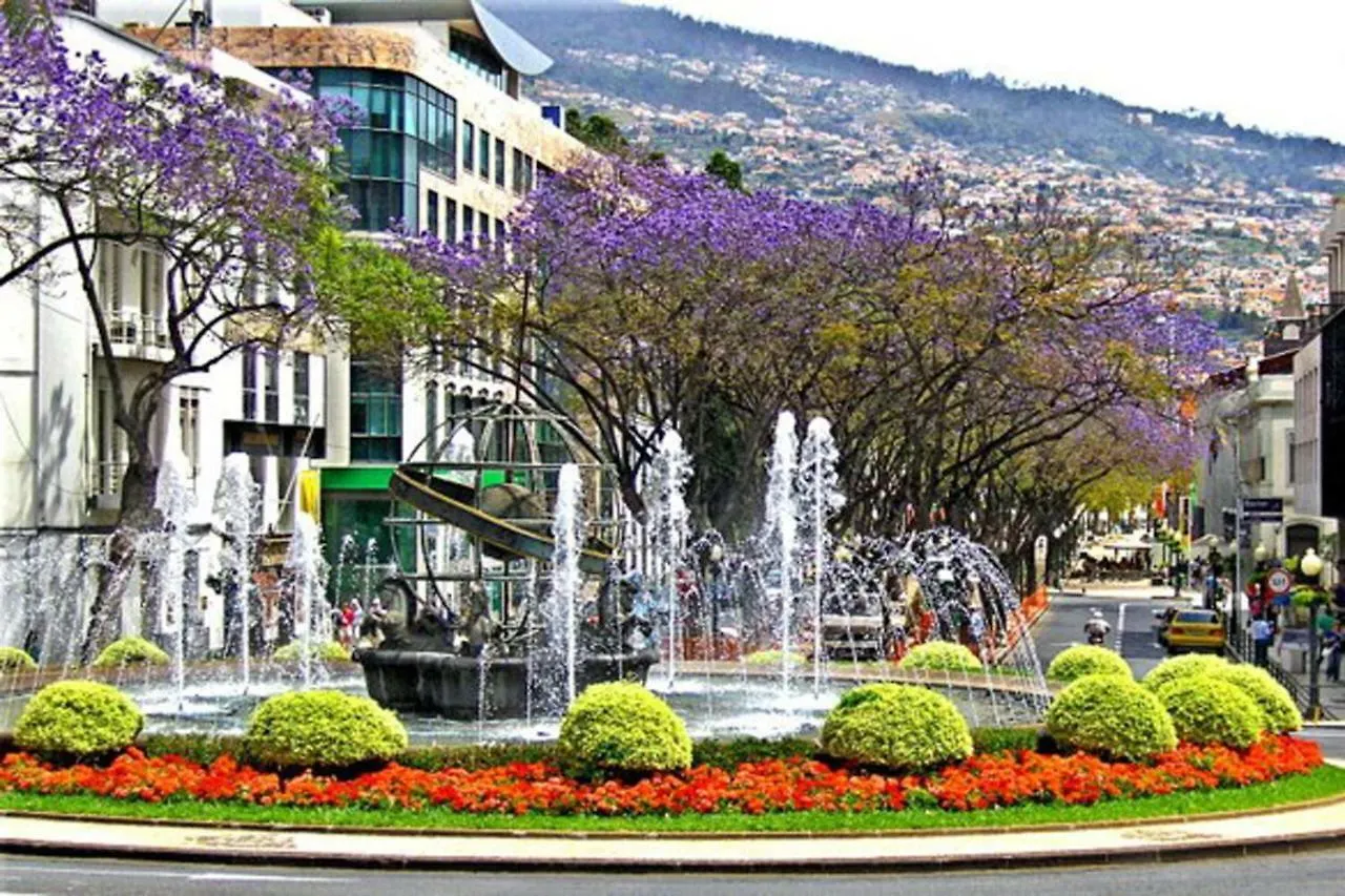 Glamdream Apartment Funchal Portugália
